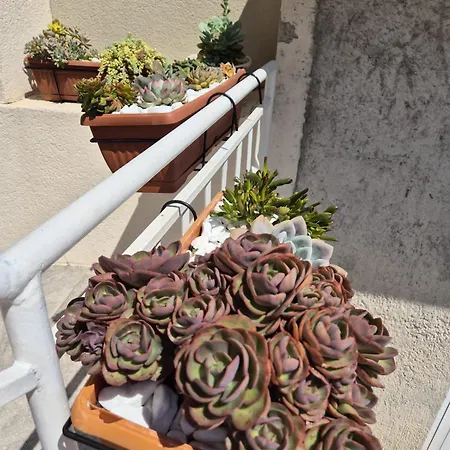 Apartmani Baska Voda