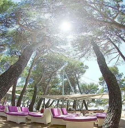 Apartmani Baska Voda Apartment *